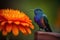 hummingbird perched on vibrant flower