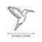 Hummingbird pixel perfect linear icon