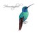 Hummingbird realistic illustration