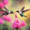 Hummingbirds flying next to beautiful pink flower.