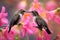Hummingbirds Sipping Nectar from Pink Flowers in Serene Garden - Wildlife Nature Photography with Bokeh Effect