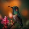 Hummingbirds are small, colorful birds