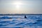 The hummocks and the buoy on the river in winter under the sun