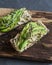 Hummus and avocado baguette sandwich with sesame and flax seeds on a wooden cutting board, on a gray background. Healthy eating