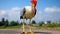 Humorous Bird Scene: Stork With Large Eyes Standing On Street