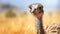 Humorous Caricature Of An Ostrich Bird In Tilt-shift Style