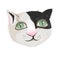 Humorous depiction of a cat's head with big eyes, vector illustration isolated.