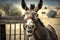 A humorous donkey. Generative AI