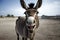 A humorous donkey. Generative AI