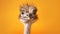 Humorous Emu Portrait On Orange Background: Surprisingly Absurd And Emotive Celebrity Photography