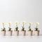 Humorous Minimalistic Imagery: White Daisies In Various Sized Pots