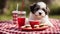 A humorous scene of a Havanese puppy dog in a red bowl at a picnic with miniature sandwiches