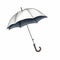 Humorous Umbrella Drawing In Dark Silver And Light Navy