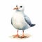 Humorous Watercolor Illustration Of A Cute Seagull On White Background