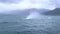humpback jumps out of the water close to the speed boat, Iceland (slow motion)