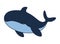 humpback sealife huge