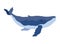 humpback sealife icon