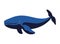 humpback sealife mammal