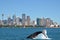 Humpback Whale against Sydney skyline in New South Wales Austral