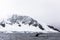 Humpback Whale diving, Antarctica