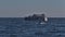 Humpback whale diving in front of American whale watching boat on Strait of Juan de Fuca in the Salish Sea.