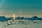 Humpback whale among the icebergs in Ilulissat icefjord, west Greenland