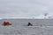 A humpback whale Megaptera novaeangliae feeding in front of a kayakers, Antarctica