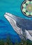 Humpback Whale Mural