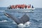 Humpback whale tail in Samana, Dominican republic and torist whale watching boat