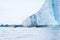 humpback whales bubble net feeding in front of a glacier