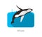 Humpback Whales jumping out of the sea, animal flat icon