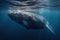 Humpback Whales pacific Ocean.Generative ai