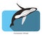 Humpback Whales swimming in the sea, animal flat icon