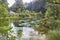 The Humurana Stream in in lush vegetation greenery in Hamurana Springs Nature Reserve, Rotorua, New Zealand.