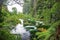 The Humurana Stream in in lush vegetation greenery in Hamurana Springs Nature Reserve, Rotorua, New Zealand.