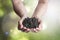 Humus black soil perfect for agricultural cultivation in hands