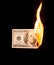 A hundred dollars burn in a fire on a black background