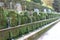 Hundred Fountains in Villa d\'Este