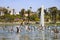 Hundreds of bird swimming on the rippling lake water surrounded by lush green palm trees and green grass, purple trees