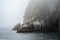 Hundreds of birds at the Chiswell Islands rookery in Kenai Fjord