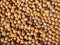 Hundreds of Hazelnuts: A Natural Mosaic of Earth\\\'s Bounty