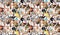 Hundreds of multiracial people crowd portraits headshots collection, collage mosaic. Many lot of multicultural different