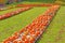 hundreds of orange and white pumpkins on pallets on sunny Fall day in Vermont