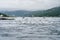 Hundreds of seagulls hunting for fish in tidal current in norwegian fjord near Saltstraumen