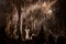 Hundreds of Stalactites Cling to the Ceiling of Carlsbad Caverns