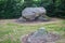 Hunebed D44 or Dolmen D44, Westenesch municipality of Emmen