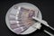 Hungarian forint Money on a white plate, next to a knife and fork. Breakfast, lunch and dinner service.