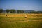 Hungarian landscape, large fields with hay