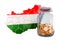 Hungarian map with glass jar full of golden coins, 3D rendering
