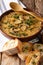 Hungarian mushroom soup with dill and toast close-up. vertical